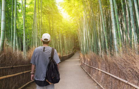 Arashiyma Bambuswald in Kyoto auf der Japan4Youth Extended Reise für Jugendliche und junge Erwachsene nach Japan