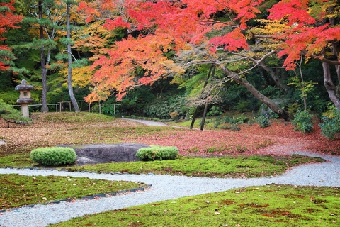 Die Herbstlaubfärbung Momiji im Garten Yoshikien in Nara während der Gartenreise in November der BCT-Touristik.