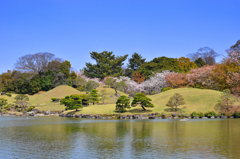 Gartenreise zur Kirschblüte in Japan