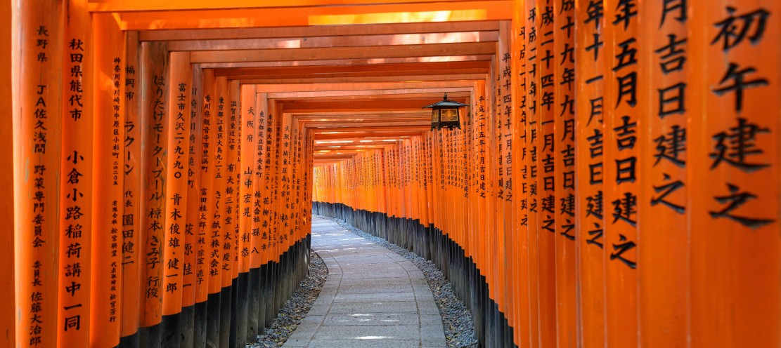 Tour Image