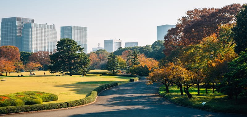 Tour Image